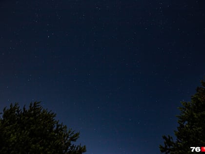 150 вспышек в час: над Центральной Россией пройдет мощнейший звездопад. Когда