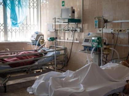 В Ярославле выявили два случая ботулизма. Грядет ли вспышка?