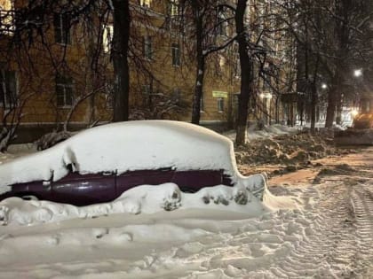 Мэр Ярославля попросил владельцев «подснежников» переставить свои машины