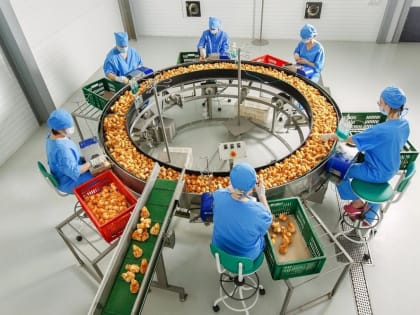 Ярославская область – лидер в ЦФО по производству яиц