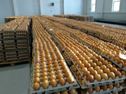 Ярославские антимонопольщики взялись за костромские яйца