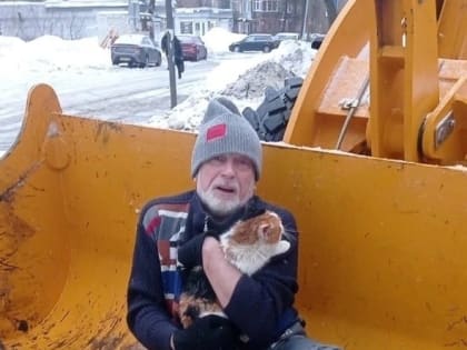 В Ярославле котенка сняли с дерева при помощи ковша экскаватора