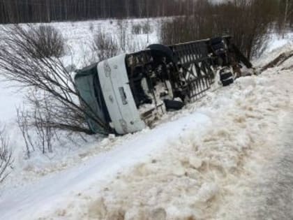 Двое взрослых пострадали при аварии автобуса с детьми под Петровском