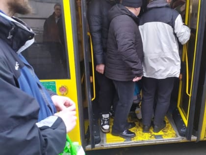 Давка и грязь в салоне: в мэрии озвучили основные жалобы ярославцев на транспорт
