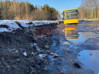 В Ярославле конечную остановку желтых автобусов превратили в помойку