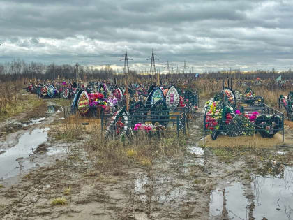 Новое кладбище в Ярославле будет в два раза меньше начального плана