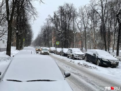 Будет заметать сутки. Как Ярославль переживает метель — онлайн-репортаж