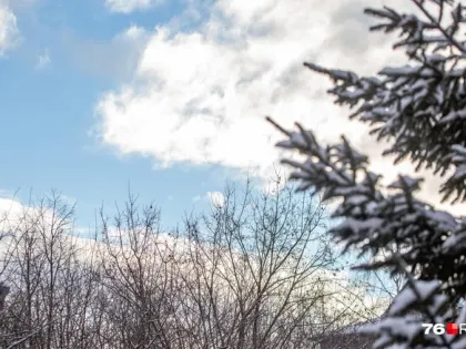 В январе в Центральную Россию пришла метеорологическая весна: настоящей зимы уже не будет