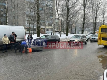 В Ярославле автобус сбил пешехода