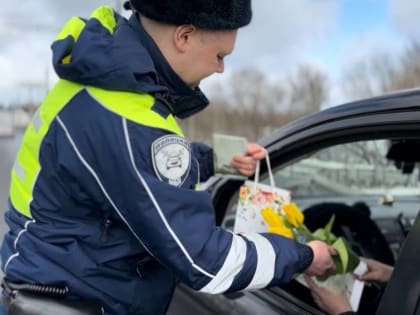 Ярославская Госавтоинспекция выписала более 20 праздничных «штрафов»