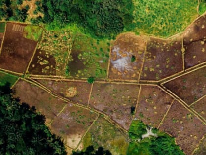 В Ярославской области инвесторам упростят получение земли без торгов