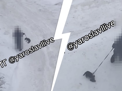 «А потом людей убивать?»: ярославцы ополчились на ребенка, протащившего собаку на поводке по снегу. Видео