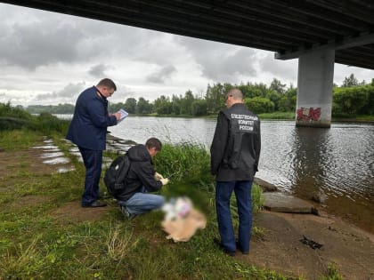 «Депрессию таит в себе»: ярославцы высказались о трагедии с погибшей малышкой
