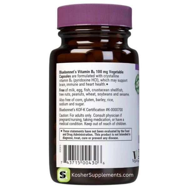 Vitamin B6 100 mg back