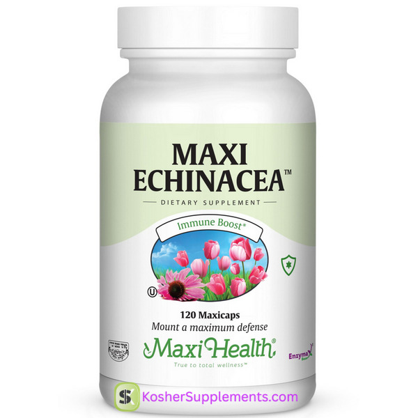 Maxi Echinacea 120