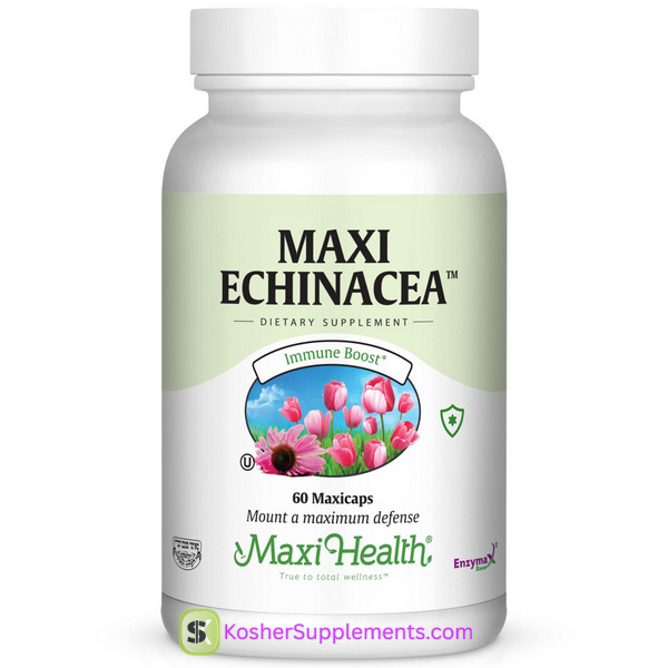 Maxi Echinacea 60