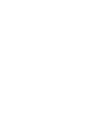 Bed Bug Icon