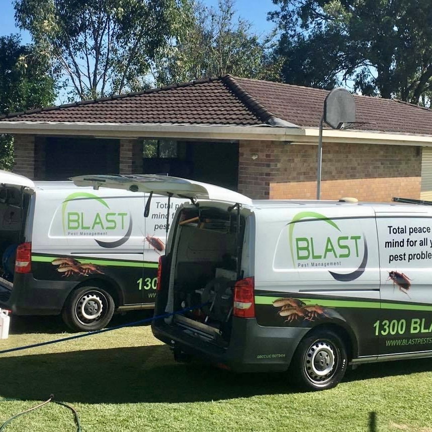 Pest control services