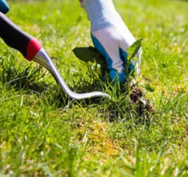 Weed Management