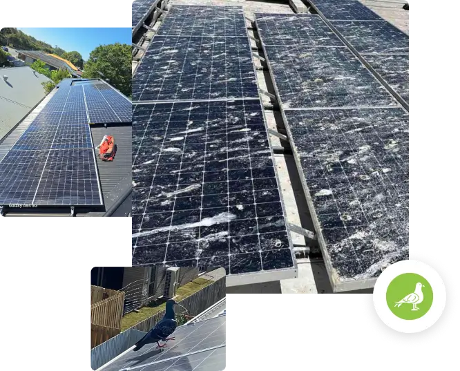 Solar Panel Proofing