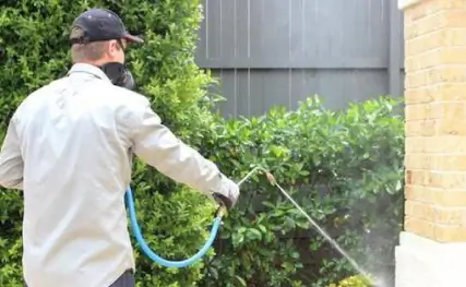 Residential Pest Control: