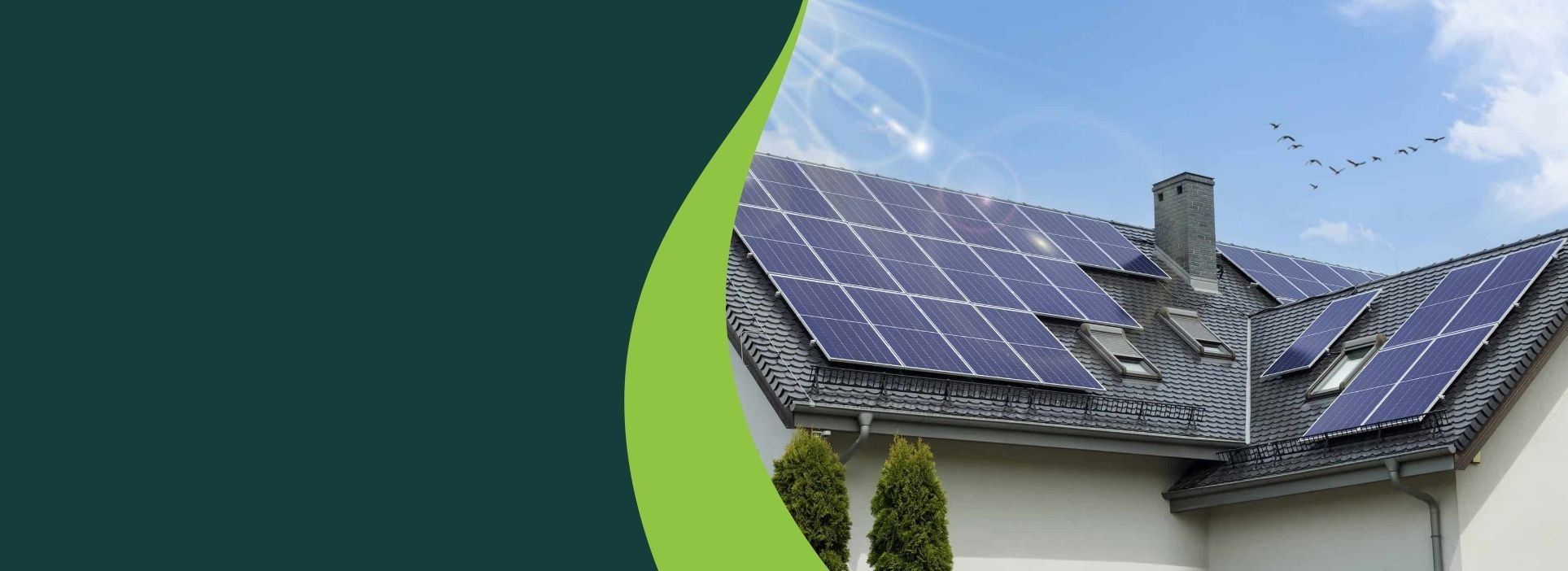 Solar panel and birds roof