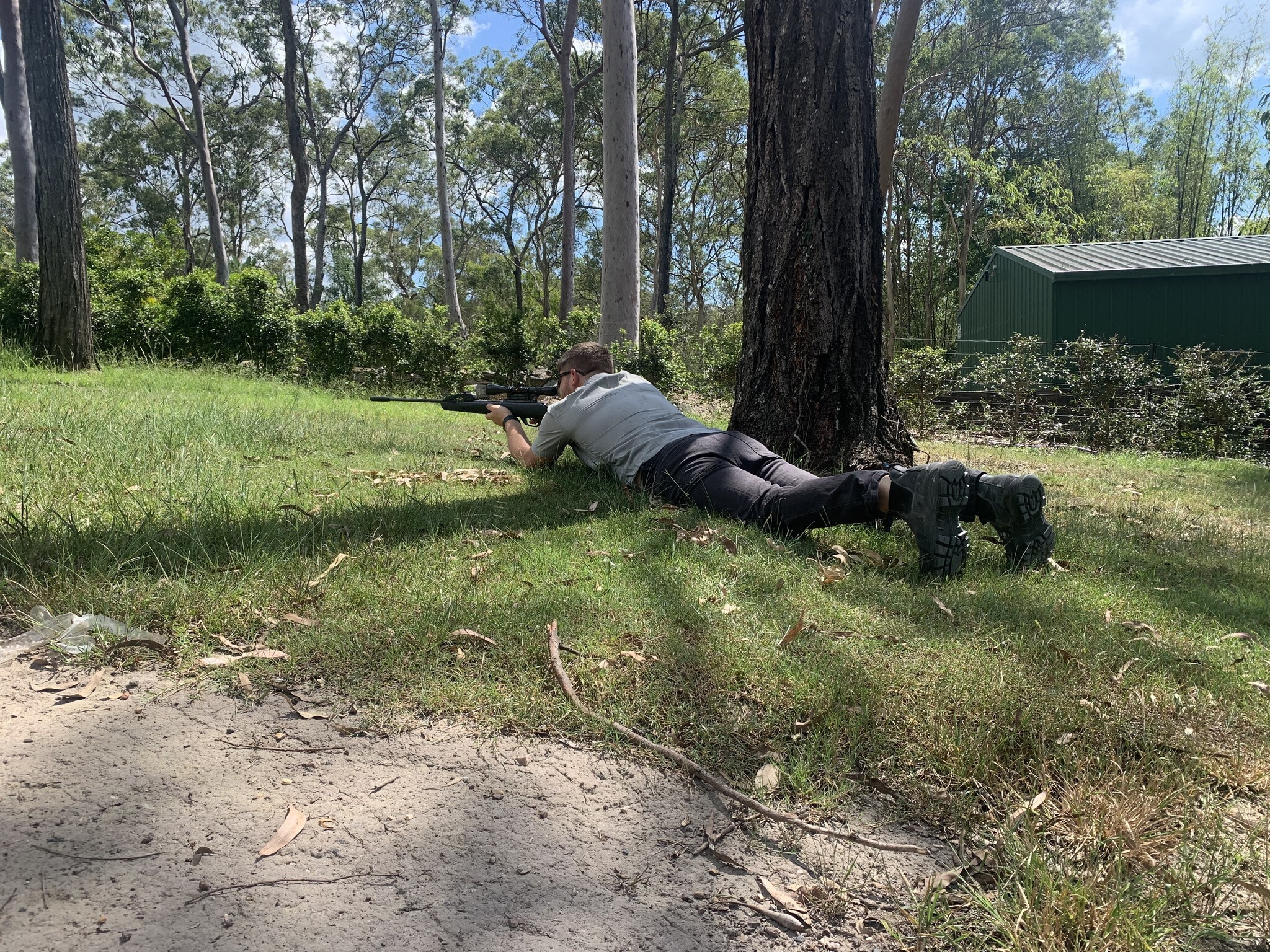 Bird Shooting