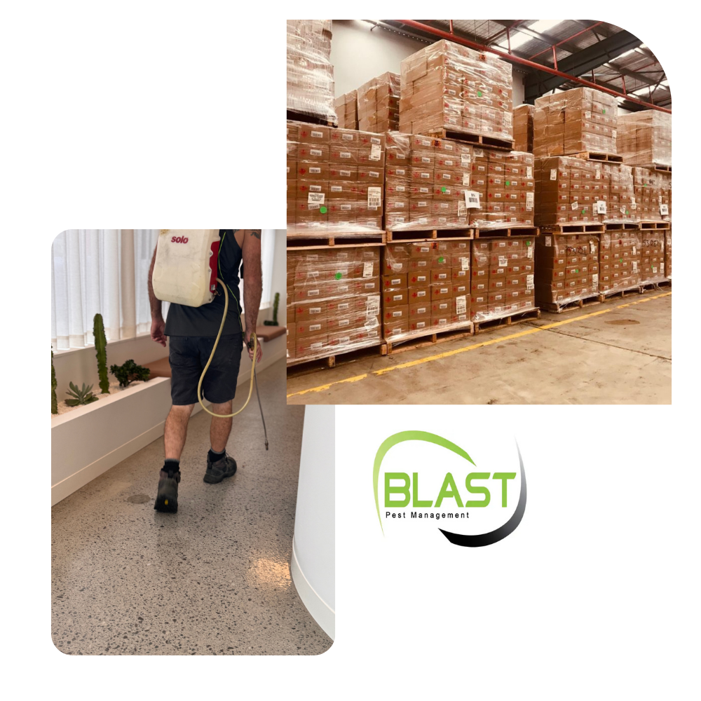 Commercial pest control areas we service