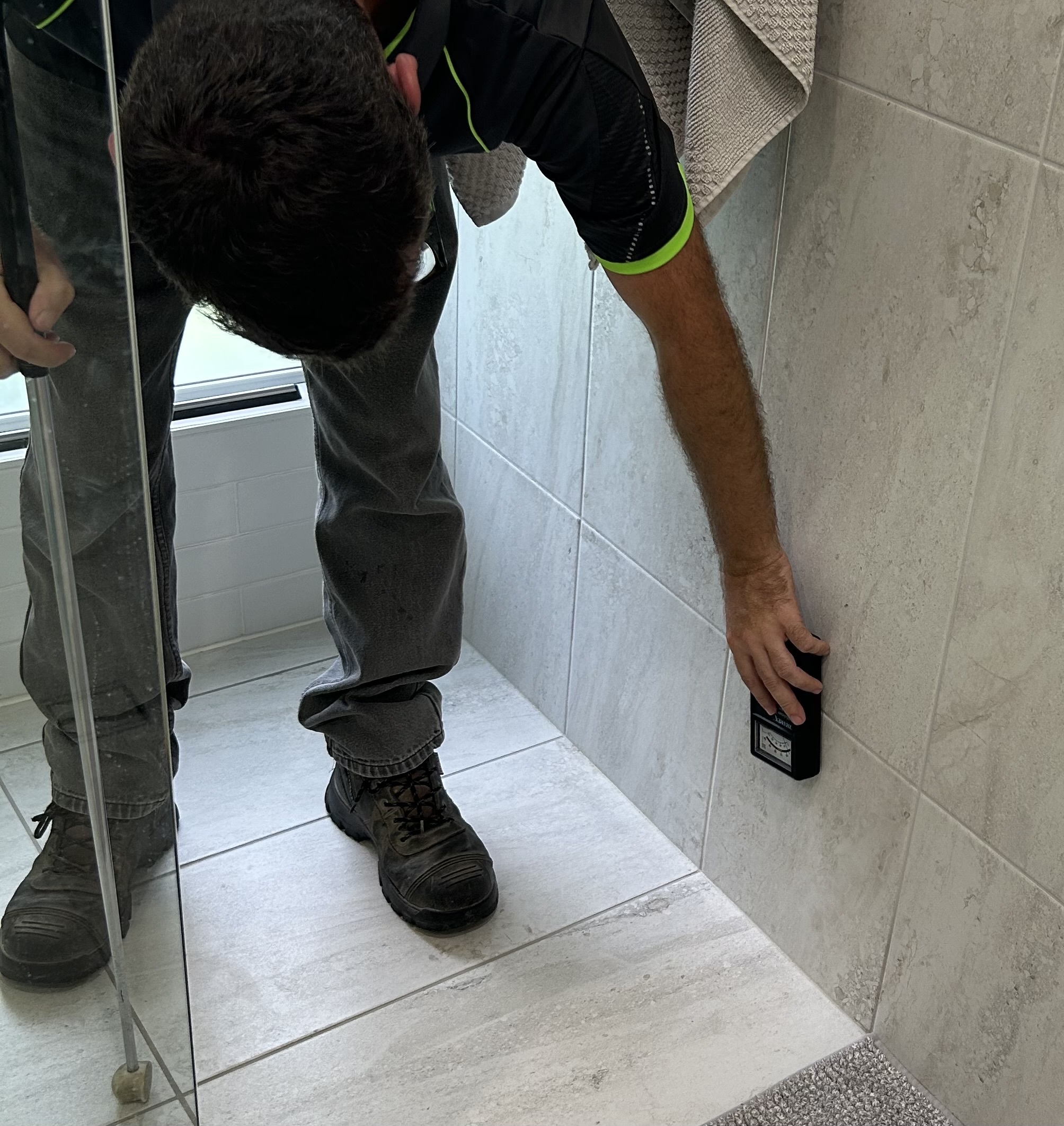 Termite inspection with moisture meter