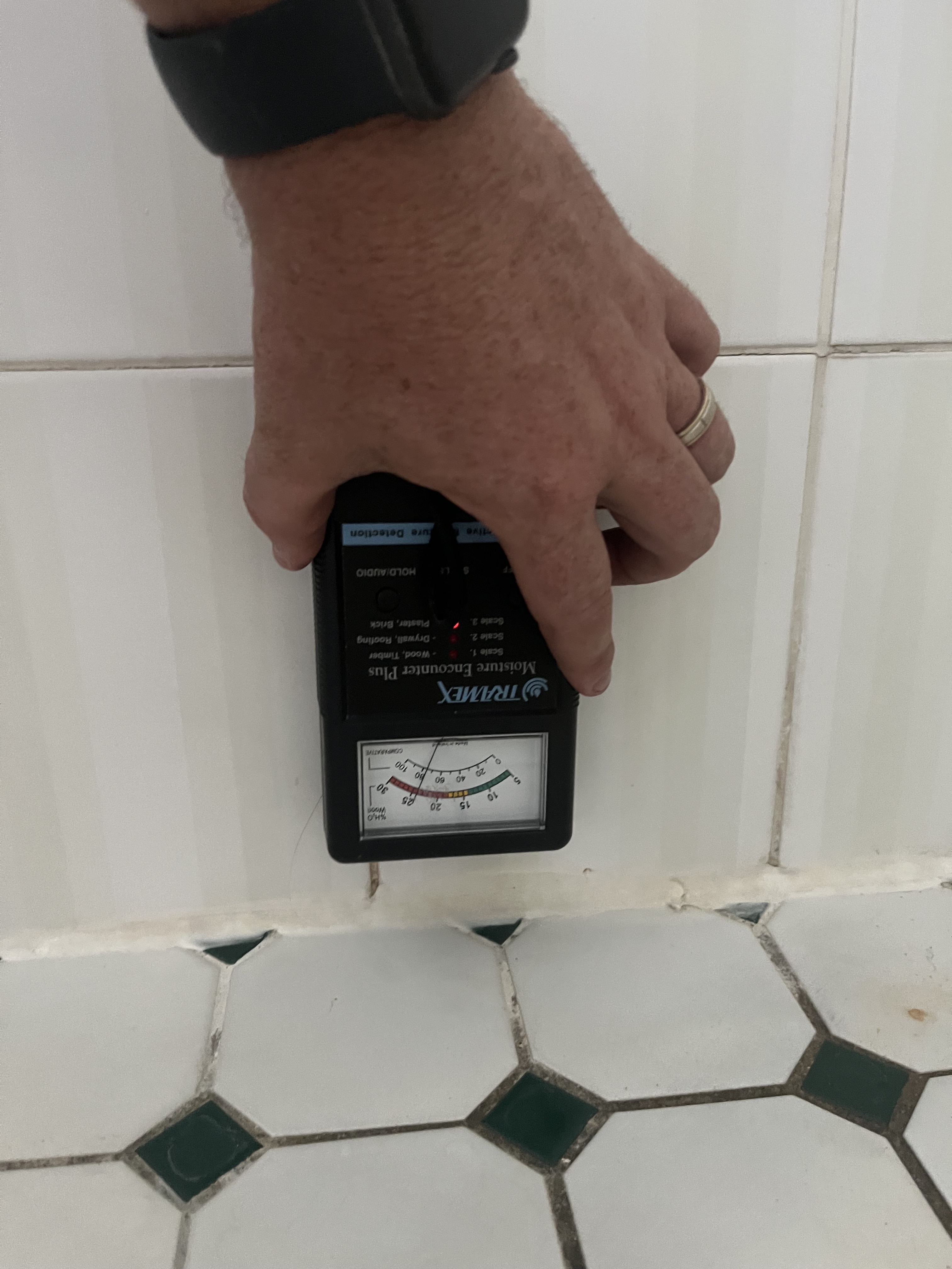 Tramex moisture meter reading