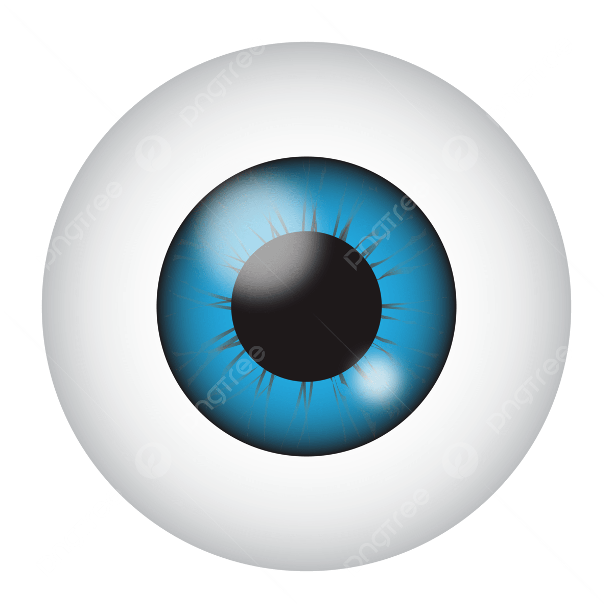 Eye Hospitals