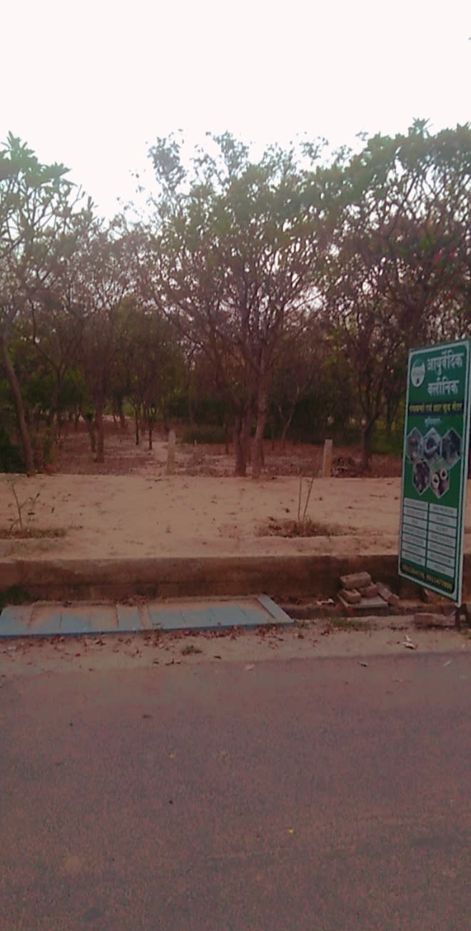 Mokshaa Ayurveda photo 5