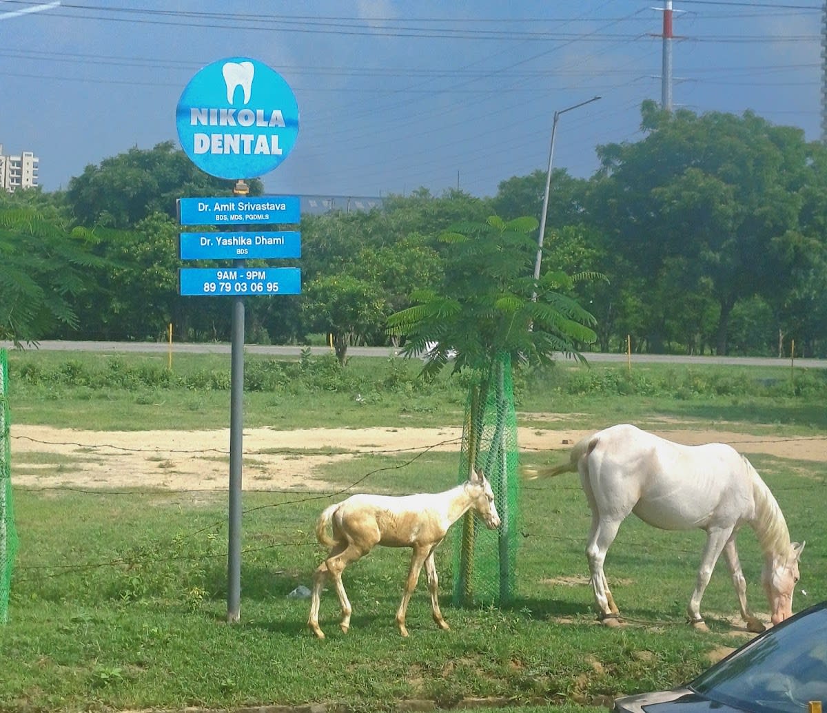 Nikola Dental Clinic photo 5