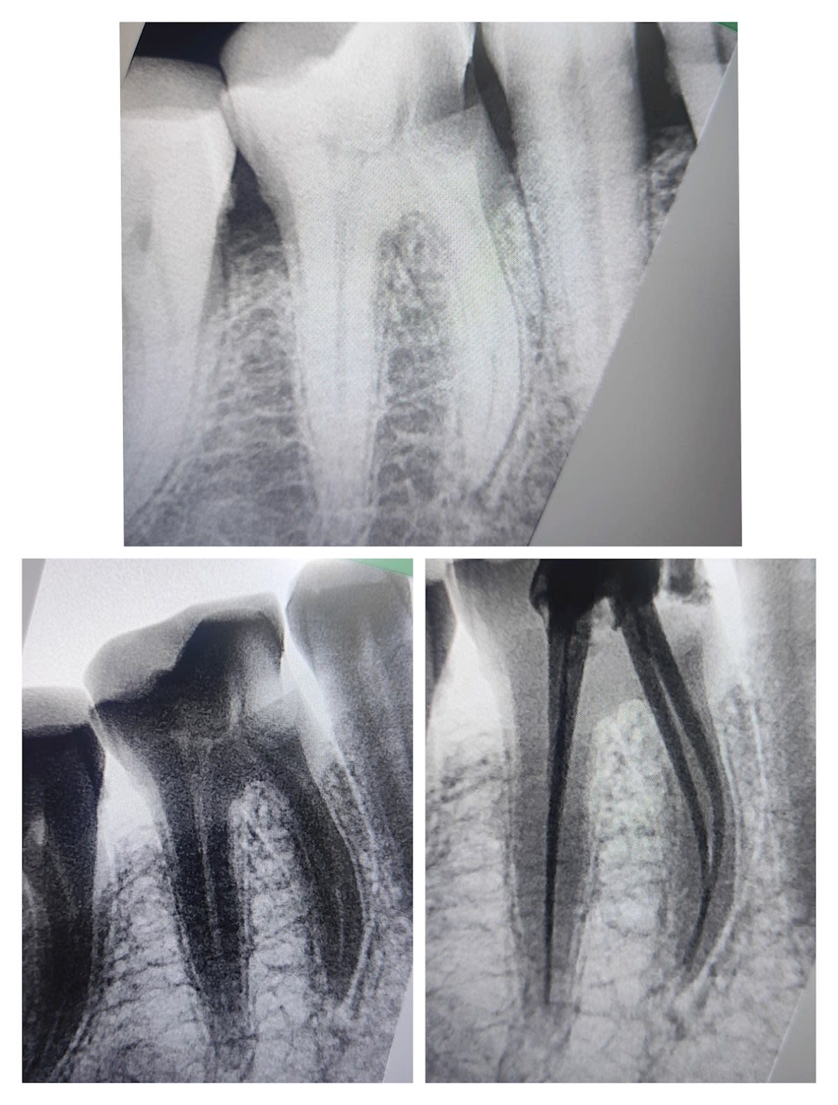 Zeta Dental Clinic photo 4