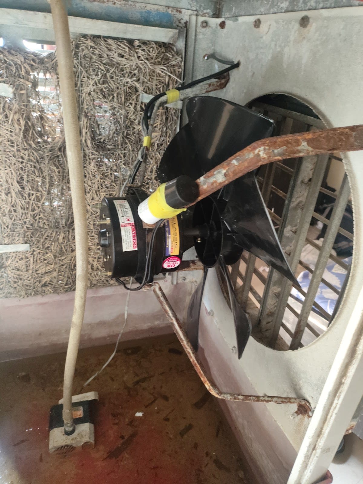 Electrician Bhuvnesh Sharma photo 5