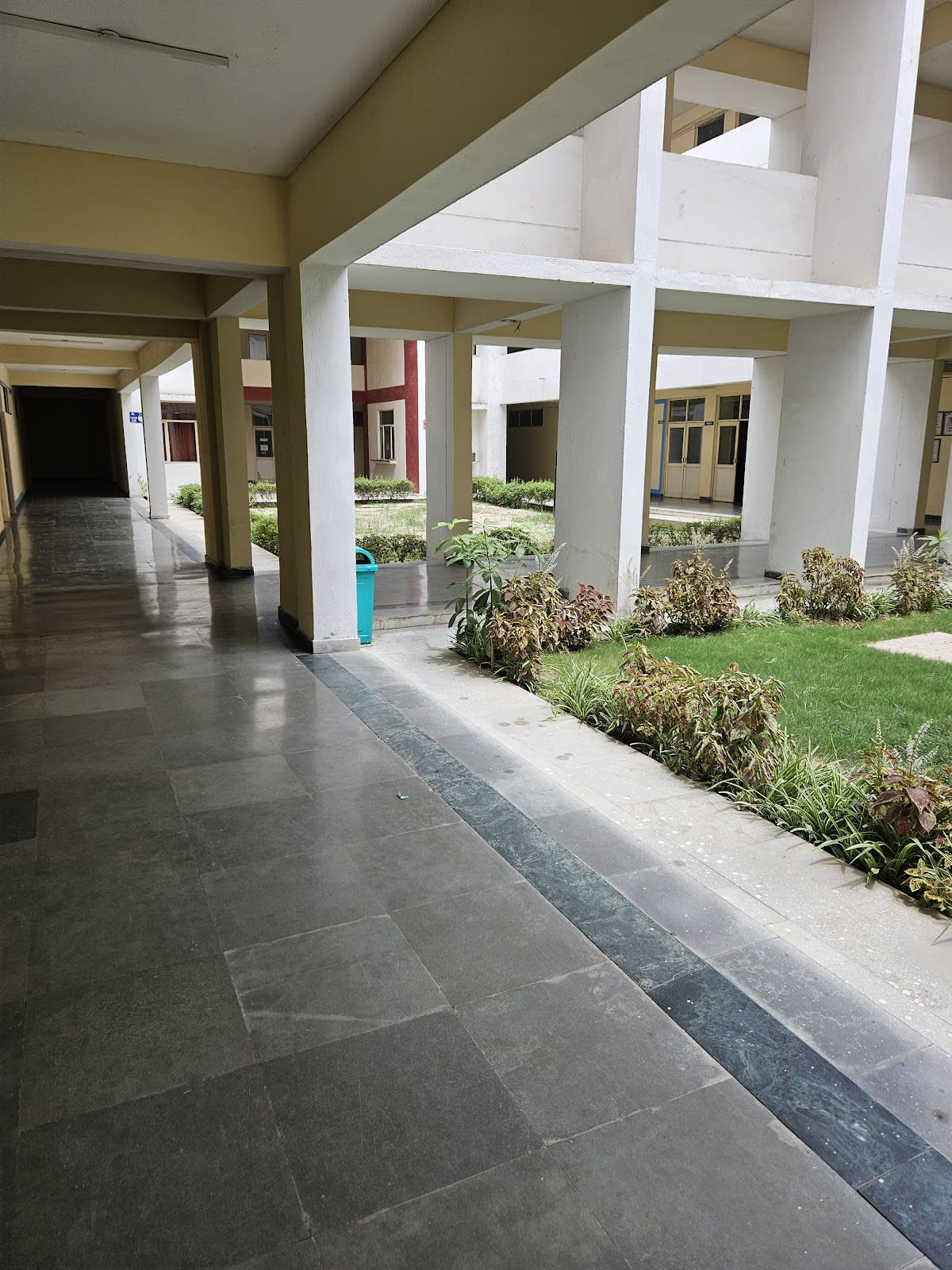 Accurate Institute Of Management And Technology. photo 5