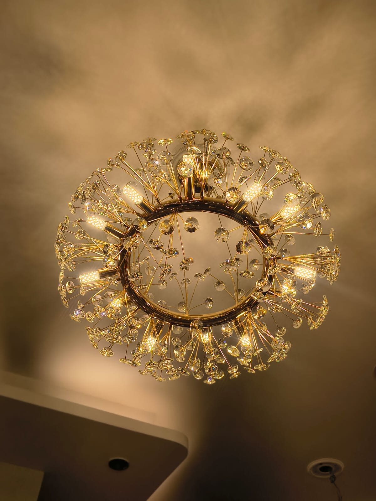 Divine Lights photo 2