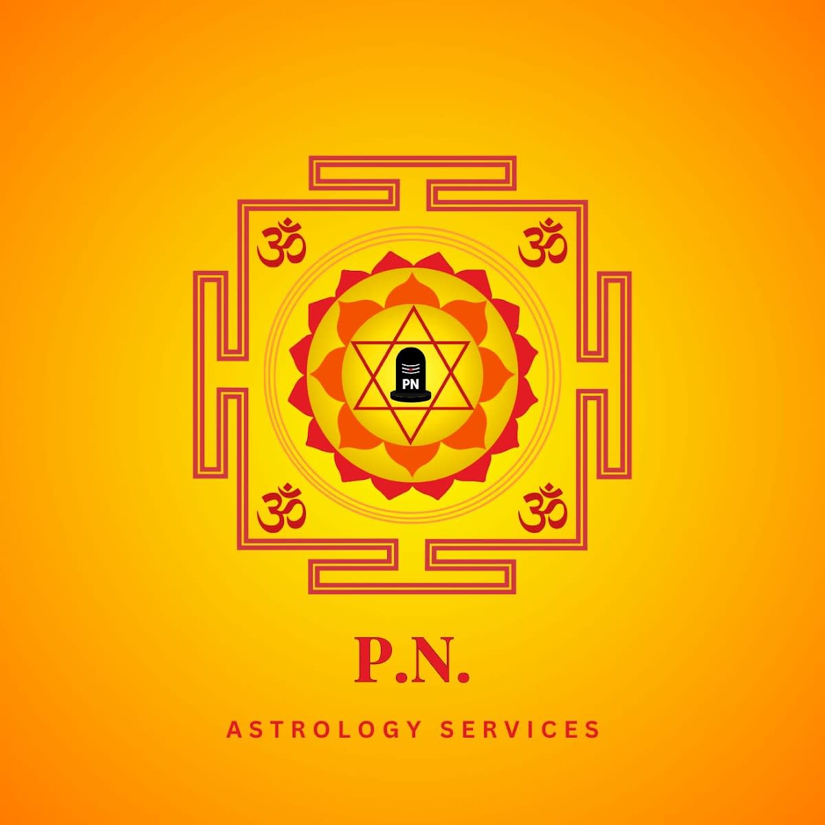 P. N. Astrology Services photo 3