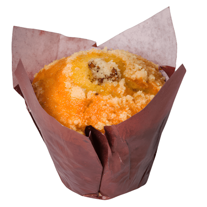 Blueberry Muffin