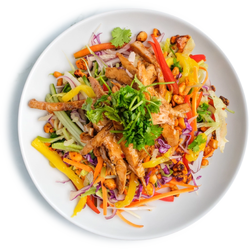 Samurai Salad With Chicken