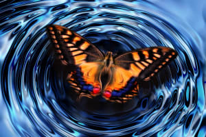 Image by Gerd Altmann from Pixabay