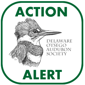 DOAS Action Alert