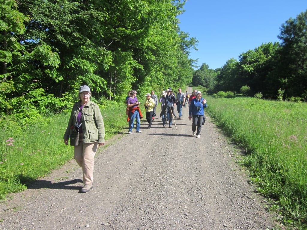 Participants walk Filor Hill Rd. in Morris on the June 7 DOAS bird walk