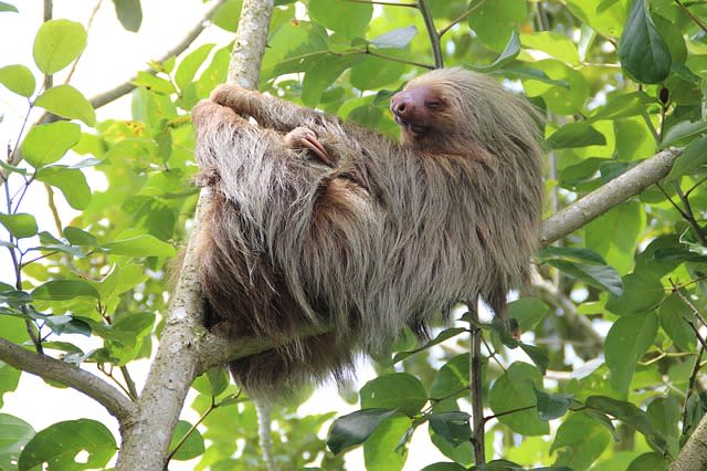 Costa Rica: Recent Adventures