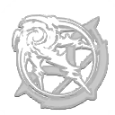 Harbinger of Storms class skill icon