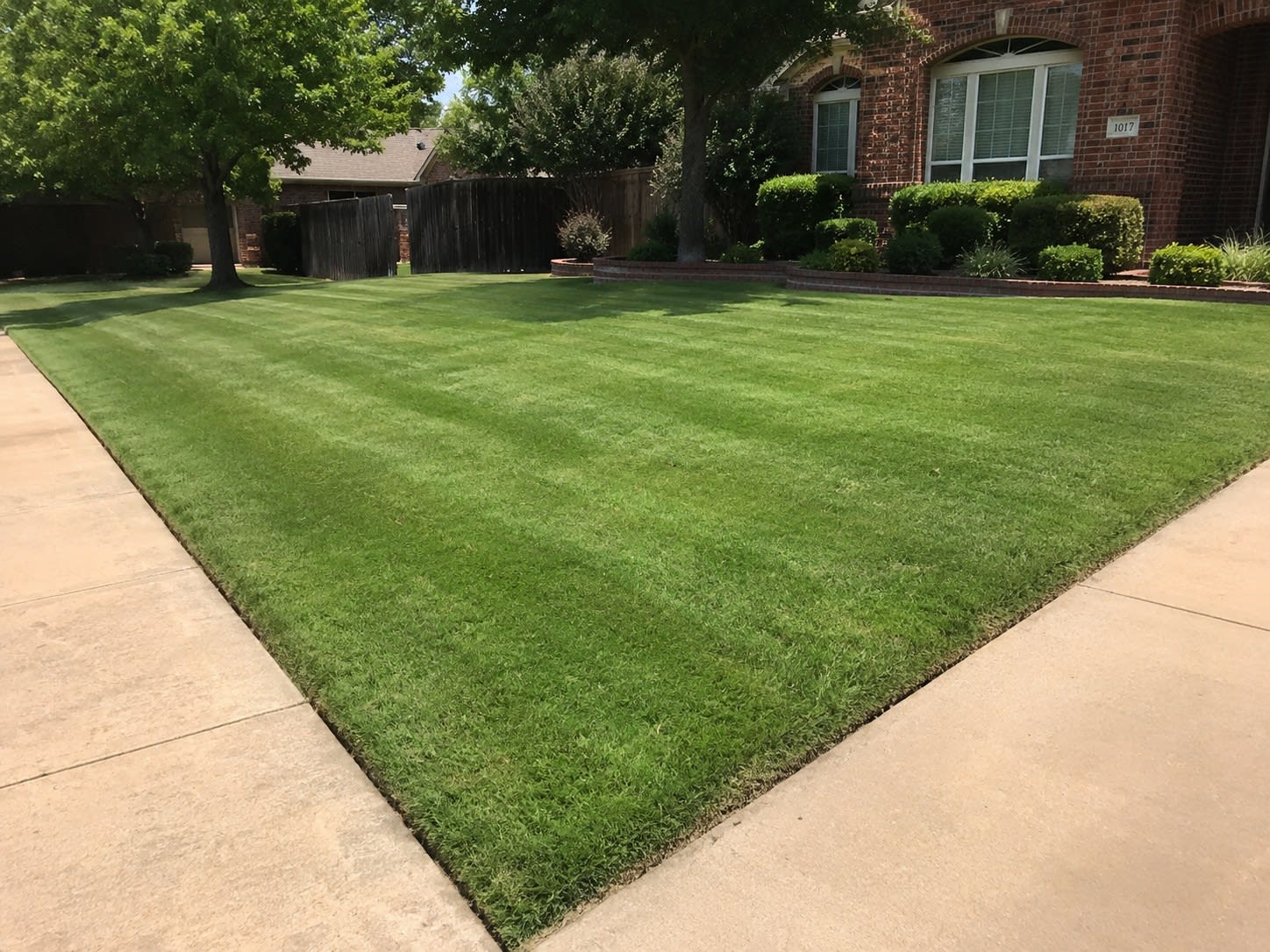 Lawn Care & Maintenance