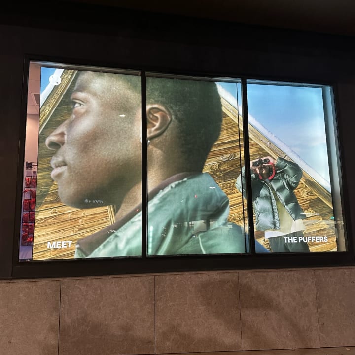 Retail Window Graphic Installation The Puffers, custom signage project in the San Francisco Bay Area.