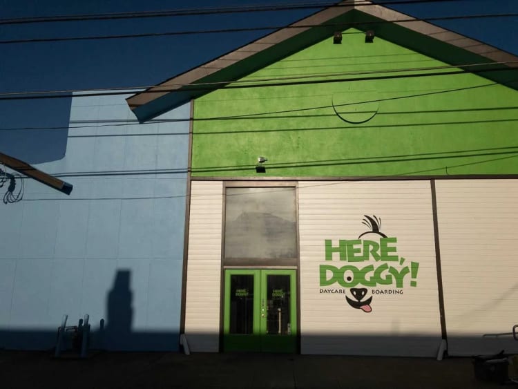 Murals Muralist in the Bay area SF Bay Murals 13