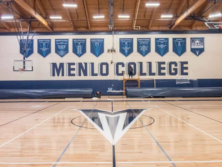 Murals Muralist in the Bay area SF Bay Murals 17