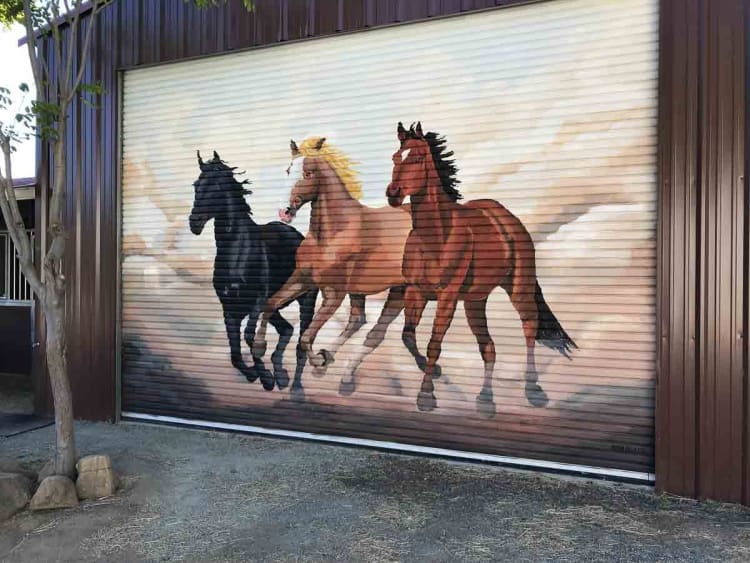 Murals Muralist in the Bay area SF Bay Murals 30